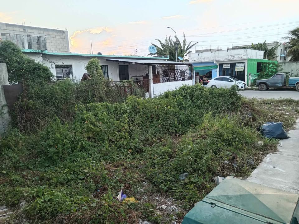 Monoambiente 0 baños - Casa 2