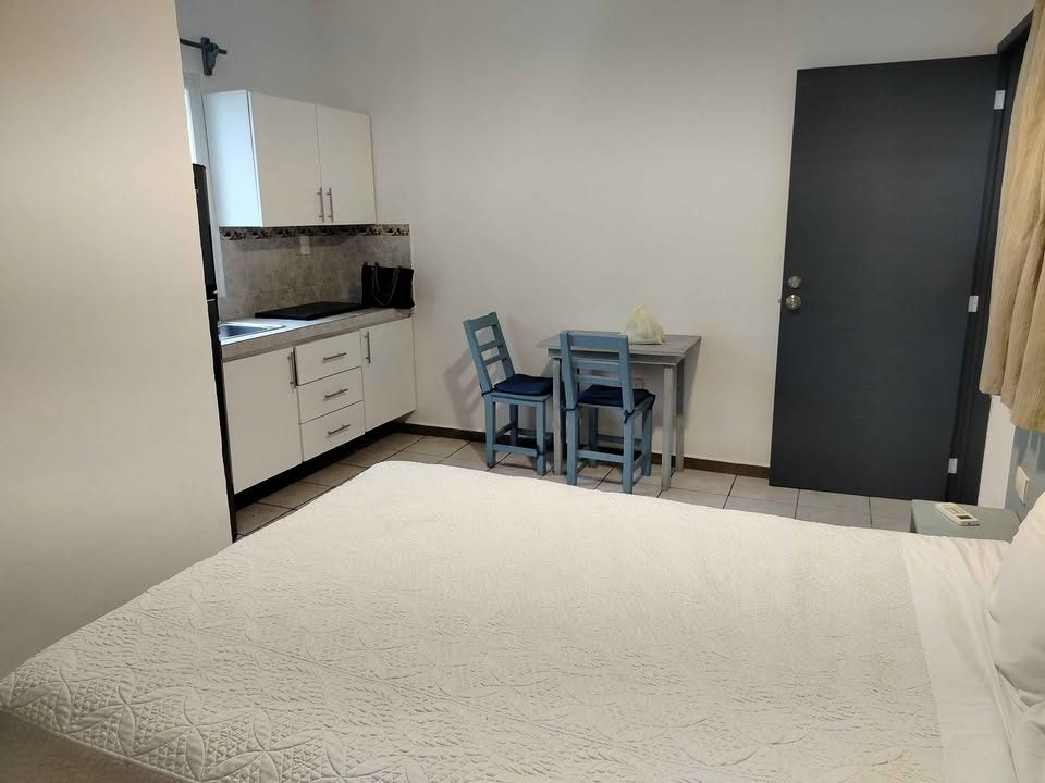 1 habitación 1 baño - Departamento 2