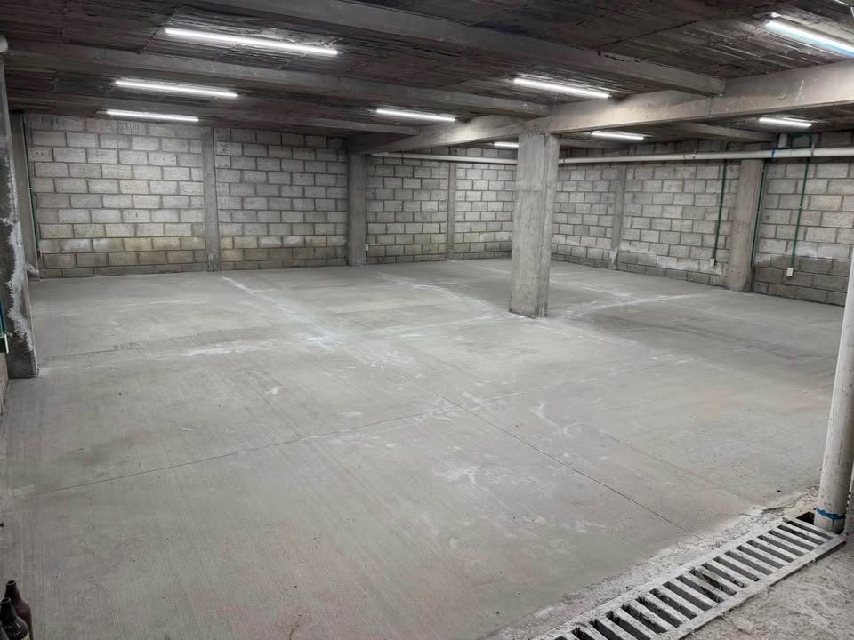 Bodega en renta · 300 m² · San Isidro Miranda 2