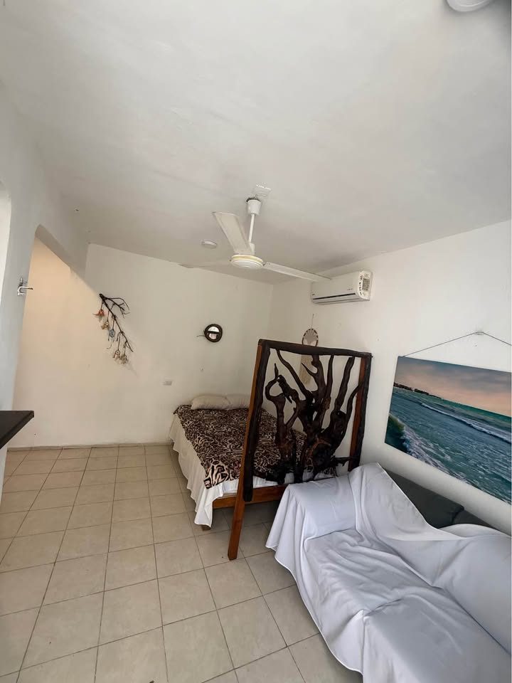 1 habitación 1 baño - Departamento 2