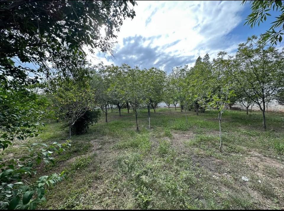 Casa en venta · 4 rec 2