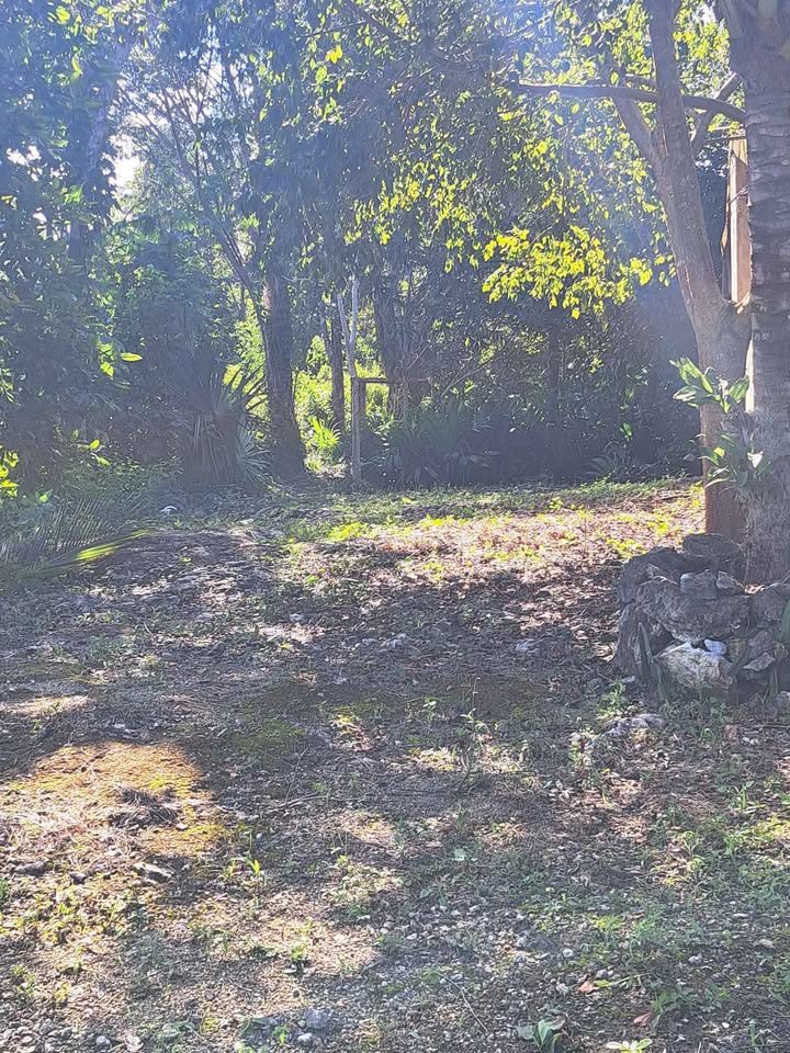 1 habitación 0 baños - Townhouse 3