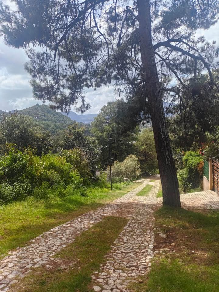 Monoambiente 0 baños - Casa 3