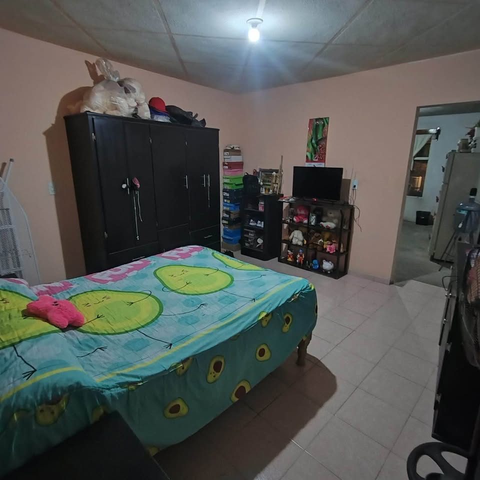 2 habitaciones 2 baños - Casa 2