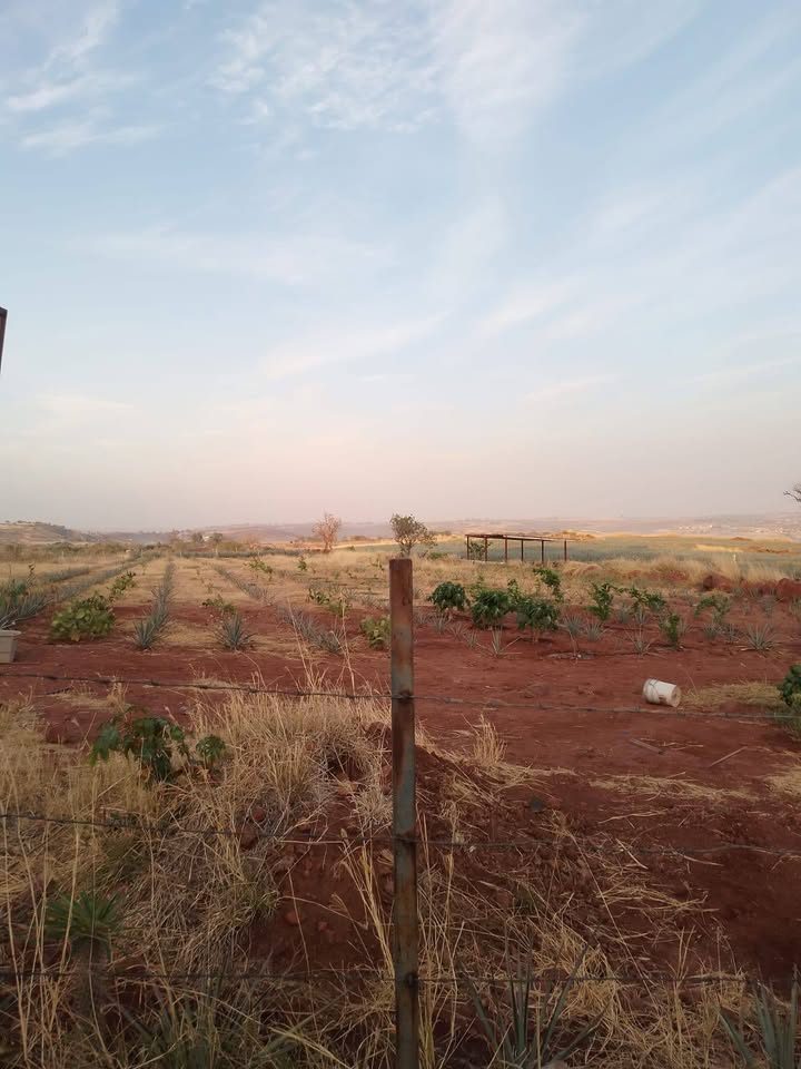 Terreno en venta 3