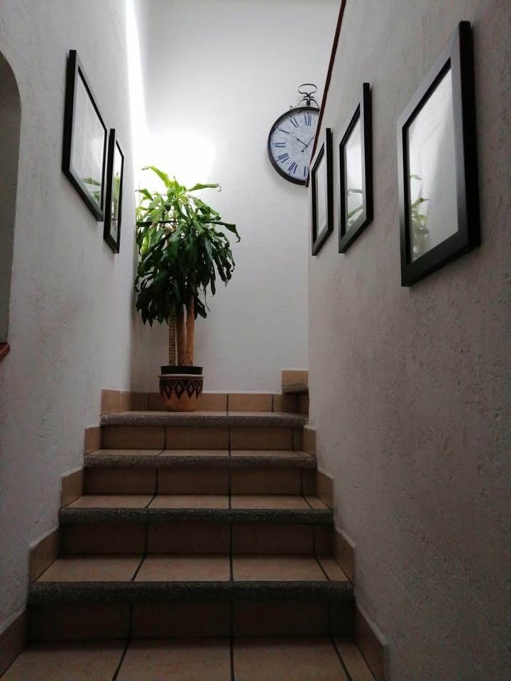 3 habitaciones 1 baño - Casa 3