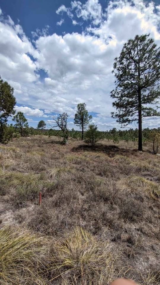 Terreno en venta · 1 000 m² · Durango 3