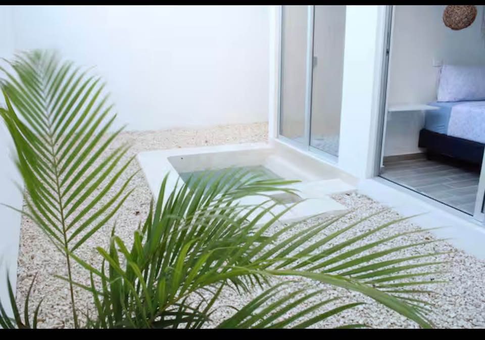 1 habitación 1 baño - Departamento 3