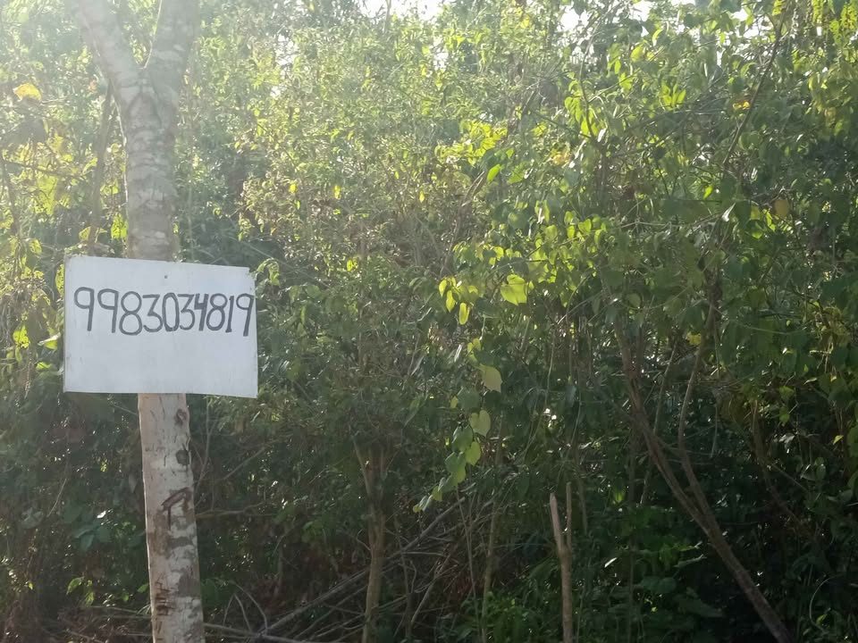 Monoambiente 0 baños - Casa 3