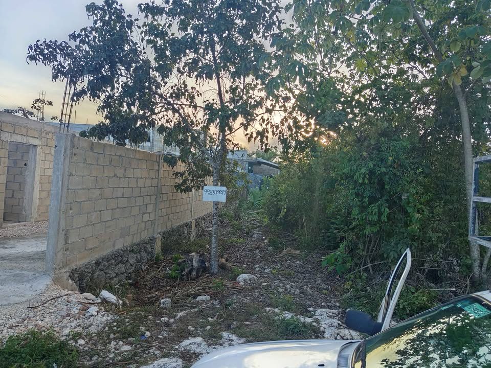 Monoambiente 0 baños - Casa 2