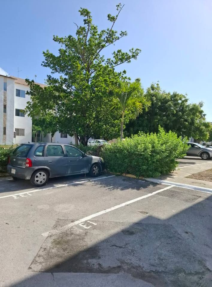 Rentó Lindo Departamento Puerto Morelos Cancun Fracc Alborada 2
