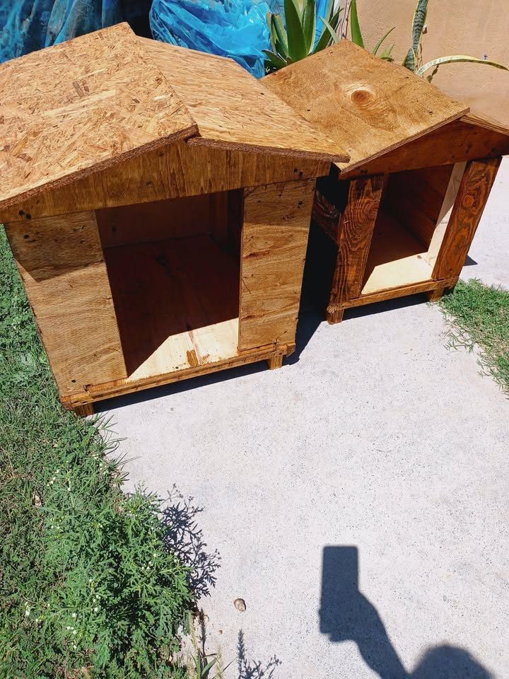 Casa mediana $350. Chica $300 2