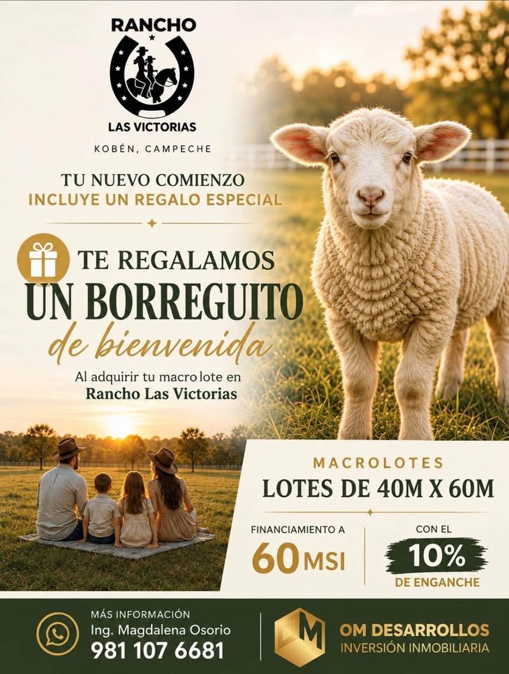 Monoambiente 0 baños - Casa 3