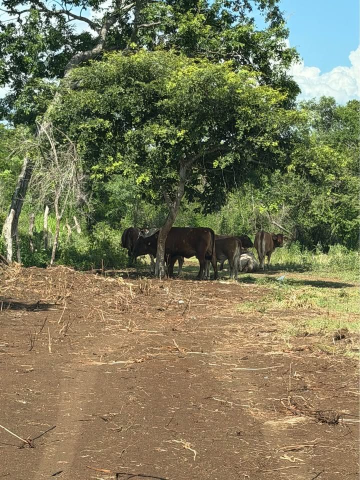 Monoambiente 0 baños - Casa 2