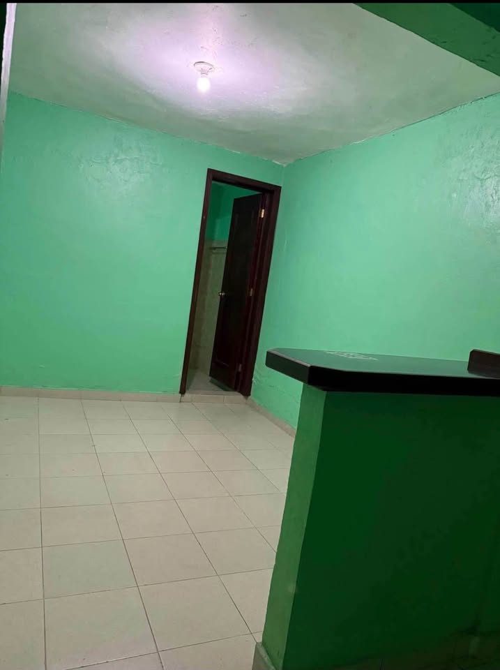 1 habitación 1 baño - Departamento 2