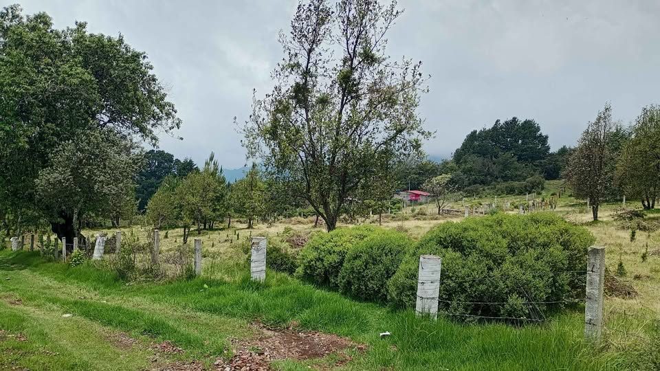 Monoambiente 0 baños - Casa 3