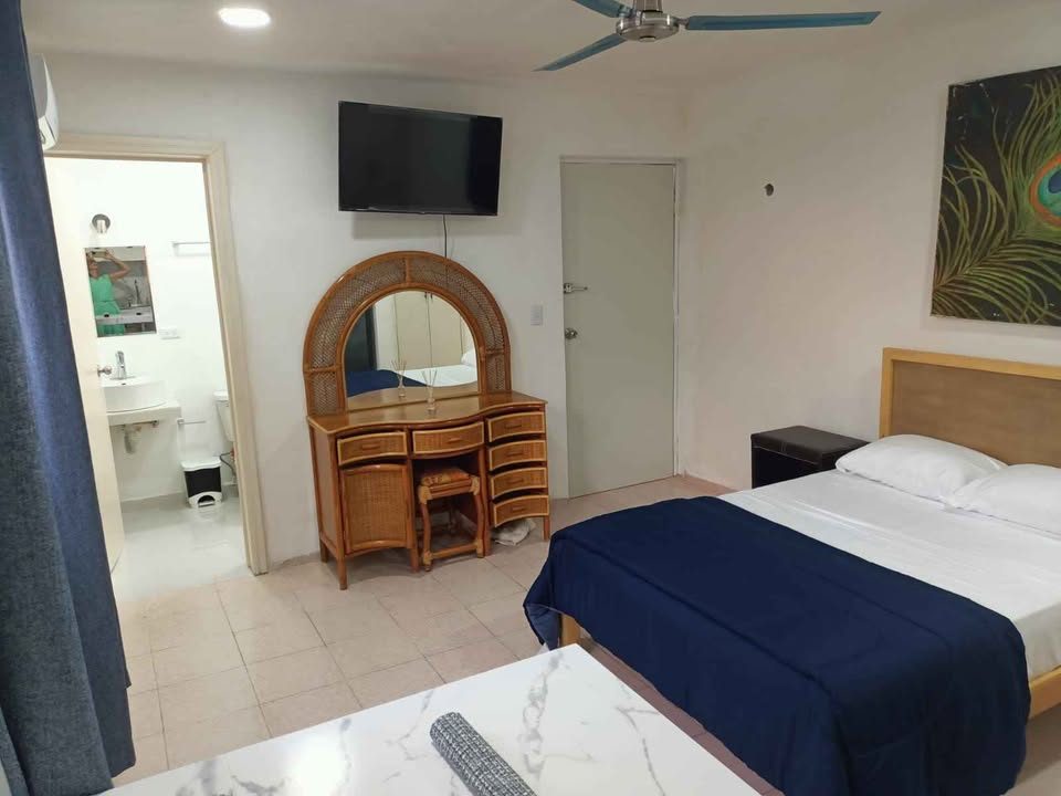 1 habitación 1 baño - Departamento 2