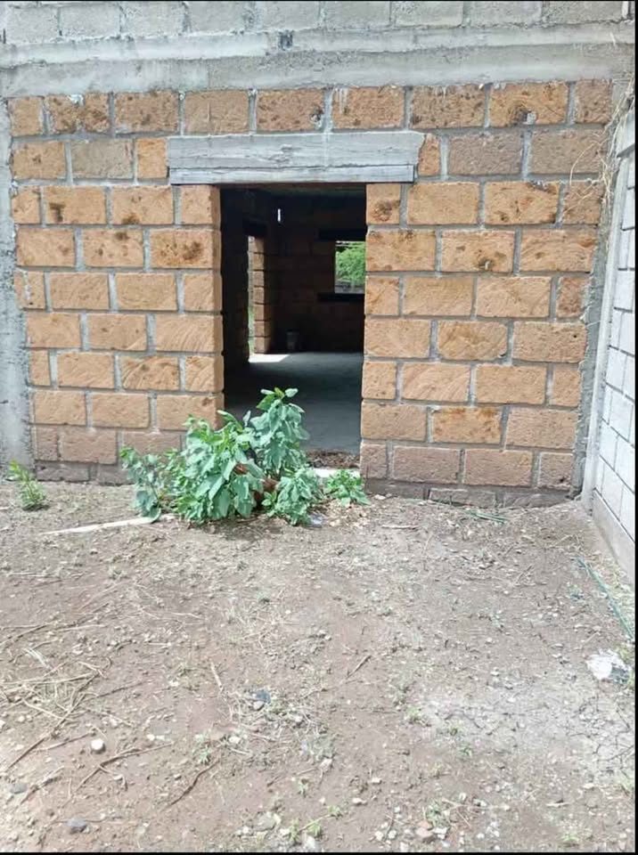Monoambiente 1 baño - Casa 3