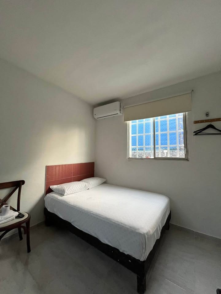 1 Bed 1 Bath - Apartment 3
