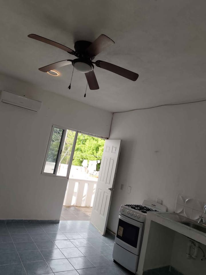 1 habitación 1 baño - Departamento 2