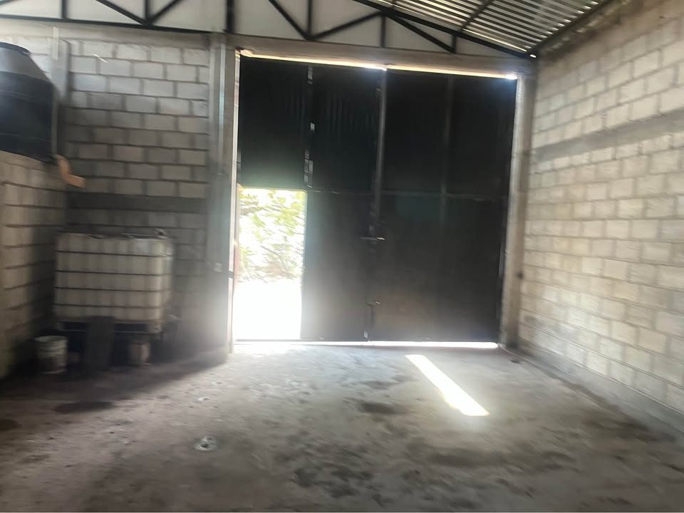 Bodega en renta · 170 m² · Pie de Gallo 3
