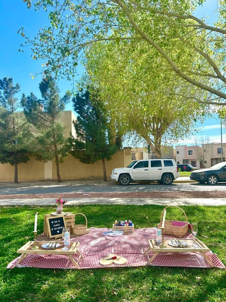 Renta de picnic romántico 3