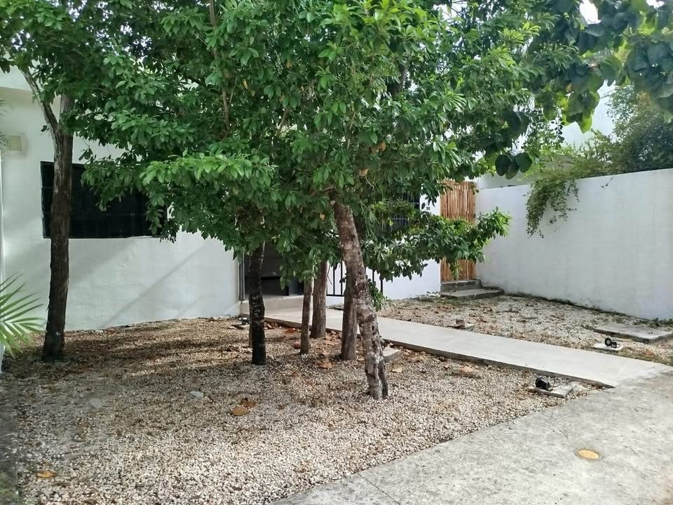 Monoambiente 0 baños - Casa 2