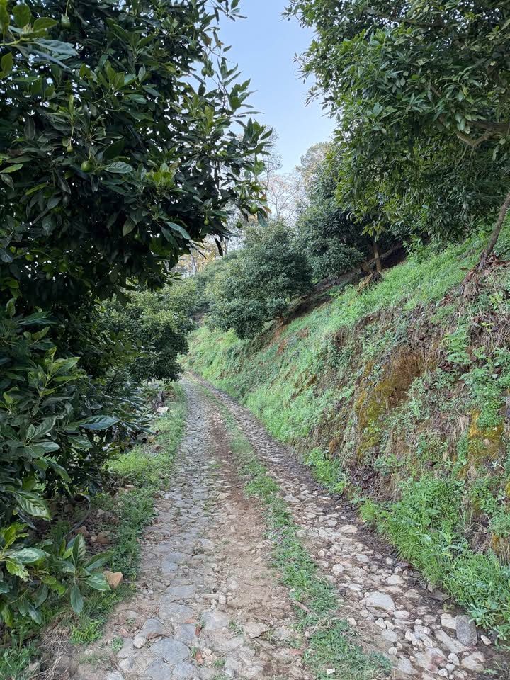 1400 Méndez en venta en 60,000 m2 2