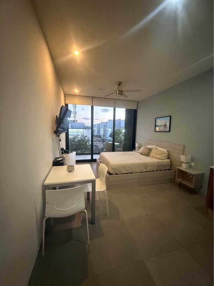 Studio 1 Bath - Apartment 2