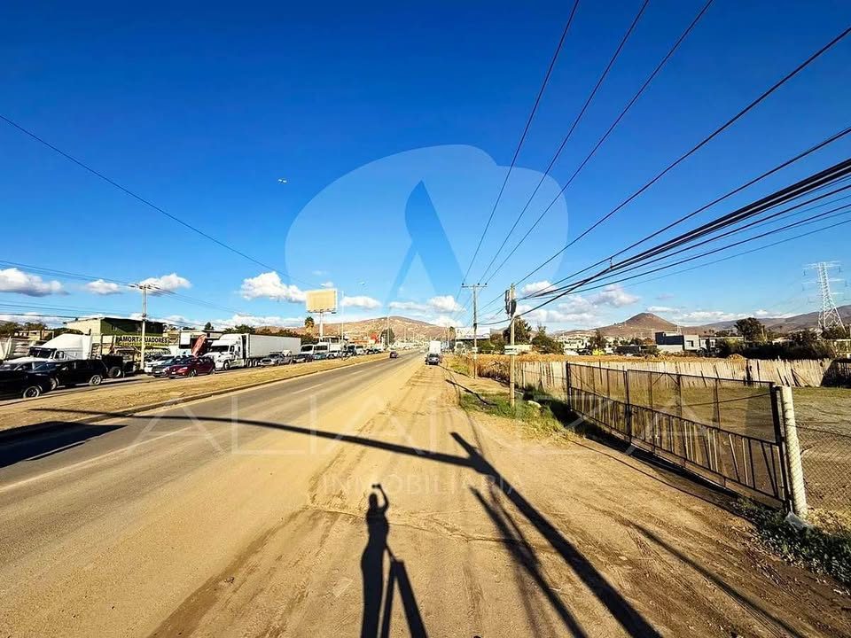 Terreno en renta · 5 000 m² · Tecate 2
