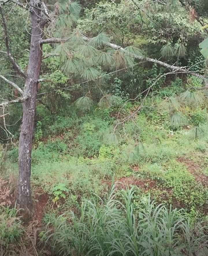 Terreno en venta · 500 m² · El Arroyo Colorado 2