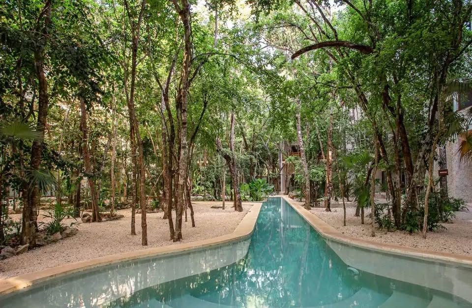 3 Beds 3 Baths - Apartment 2
