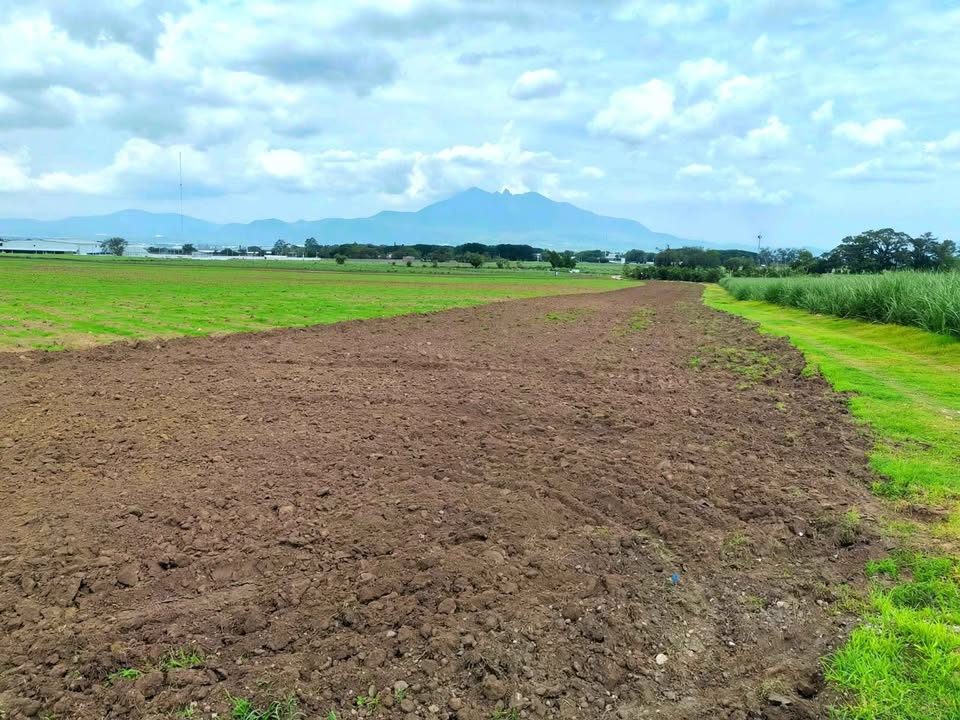 Terrenos frente a la ut 2