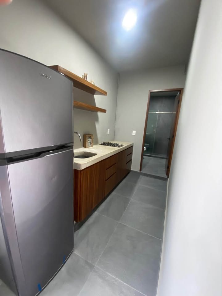 1 habitación 1 baño - Departamento 2