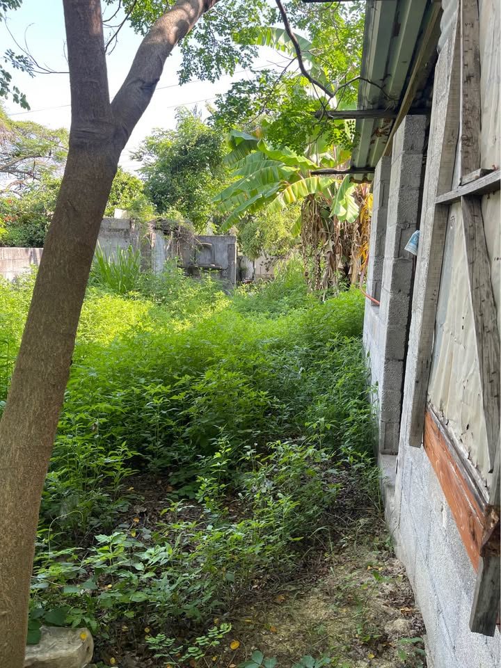TERRENO EN VENTA Colonia Solidaridad 2