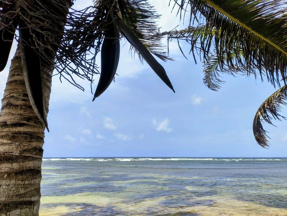🔷Vendo Terrenos en primera linea y frente al mar en Mahahual desde 600m2 USO MIXTO🔷 3