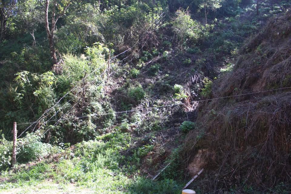 Terreno 2