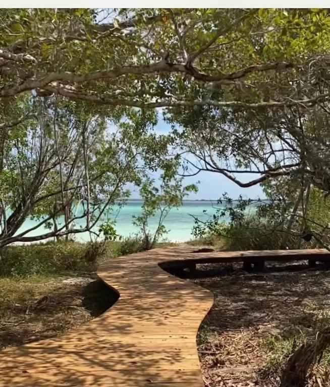 🌴BACALAR, una hectárea, una laguna natural y un sinfín de posibilidades 🌊🏕️🎉 2