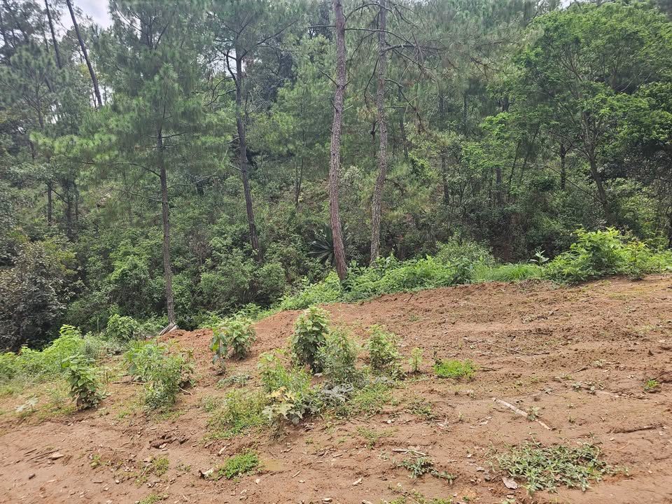 Terrenos campestres 3