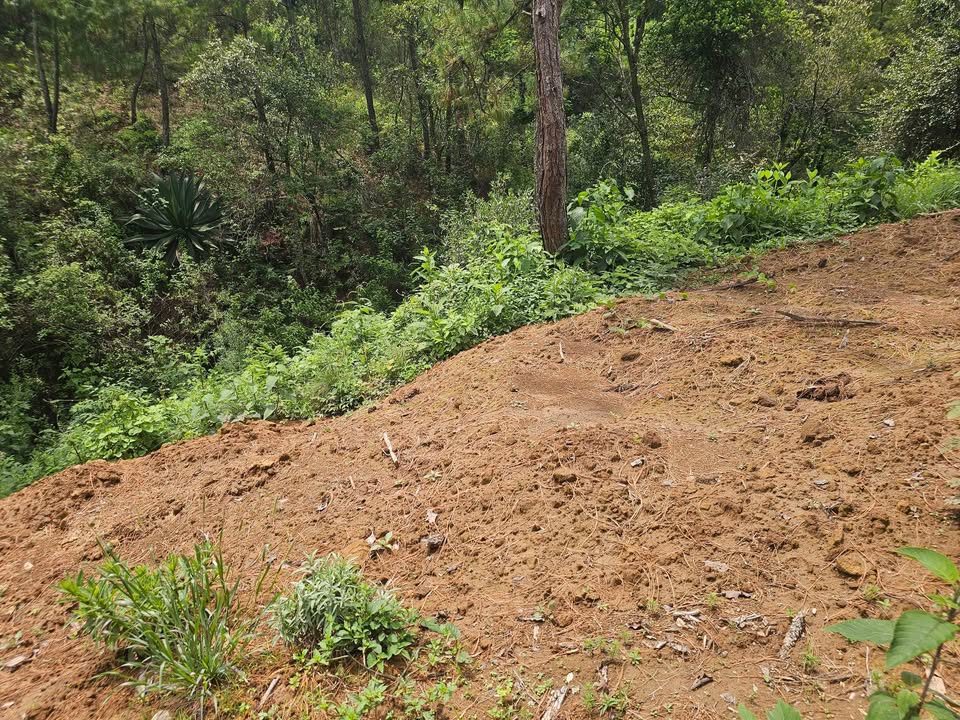 Terrenos campestres 2