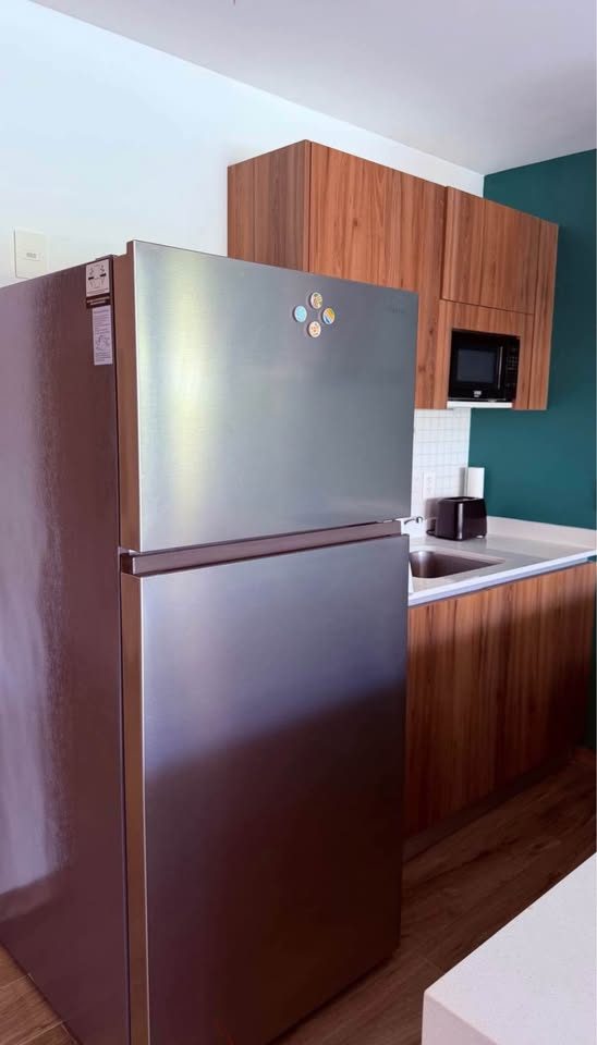 The Leaf Playacar 2 bd for long term rental 3