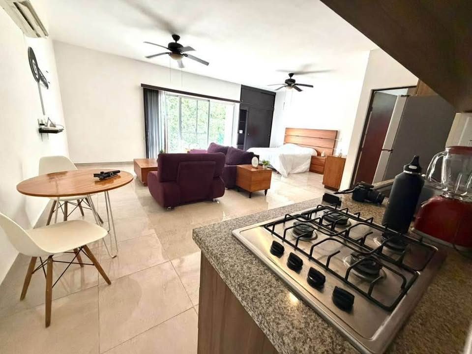 1 habitación 1 baño - Departamento 2