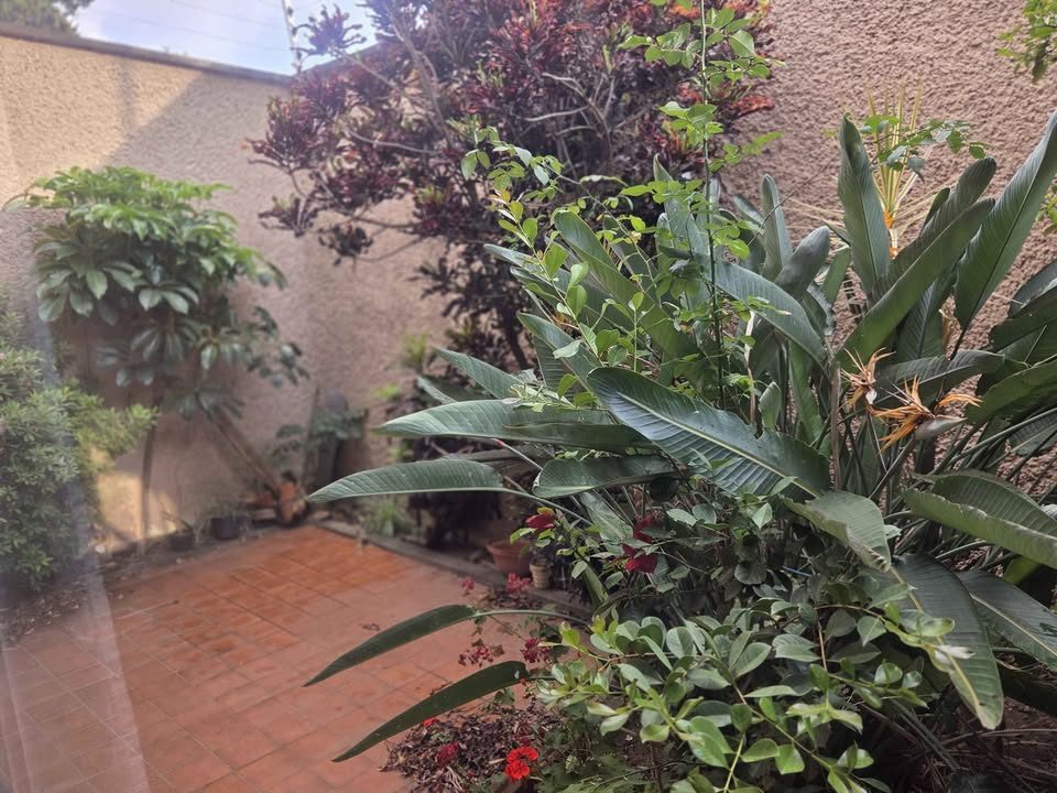 3 habitaciones 4 baños - Casa 3