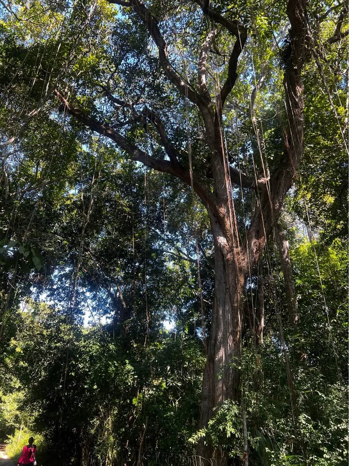 Monoambiente 0 baños - Departamento 2