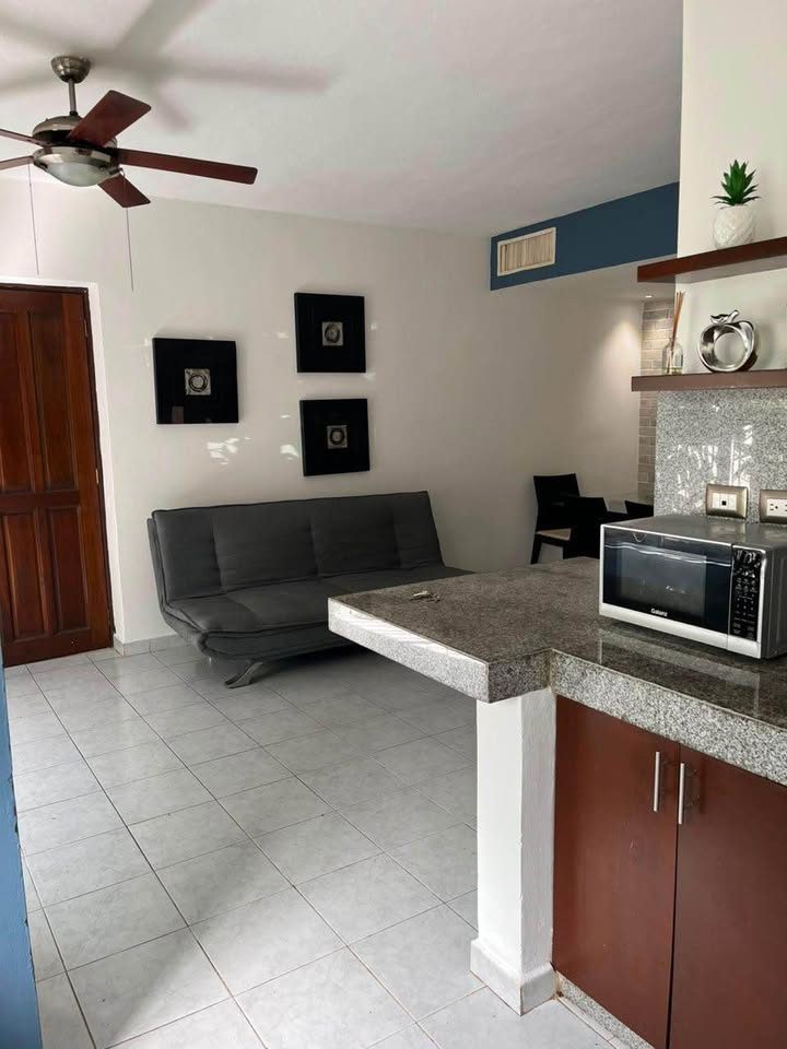 2 habitaciones 2 baños - Departamento 2