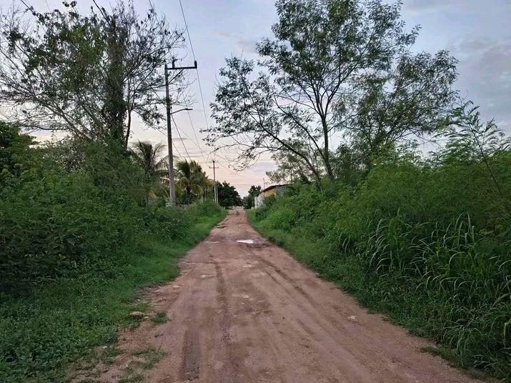 ♥️Cambio.+terreno.+x.+Vehículo 2
