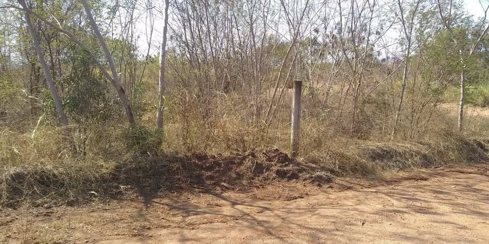 Bonito+terreno+y+bien+ubicado+en+guapinole+Oaxaca+cerca+de+Puerto+Escondido 2