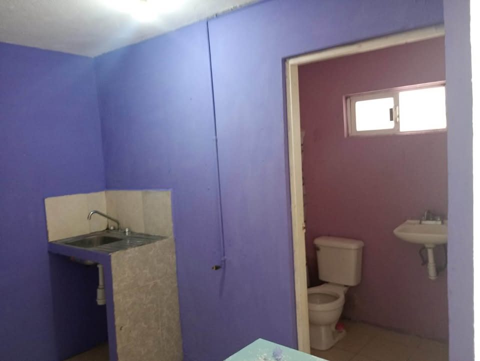 1 habitación 1 baño - Departamento 2