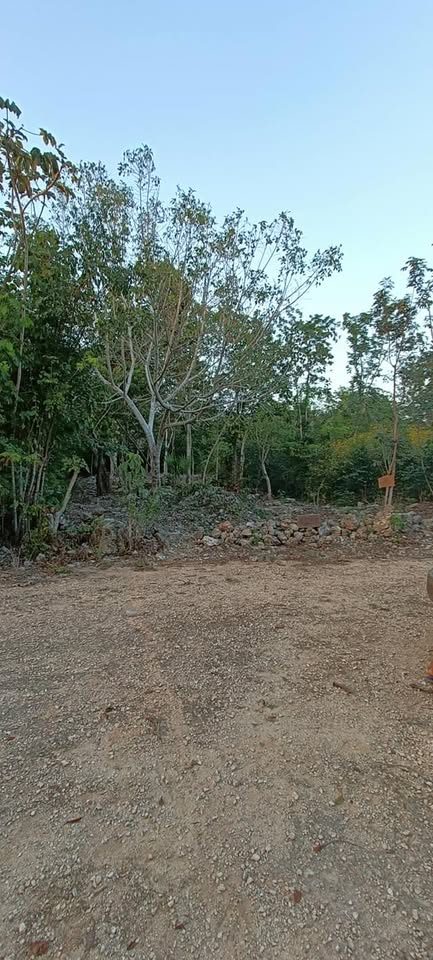 Monoambiente 0 baños - Casa 2