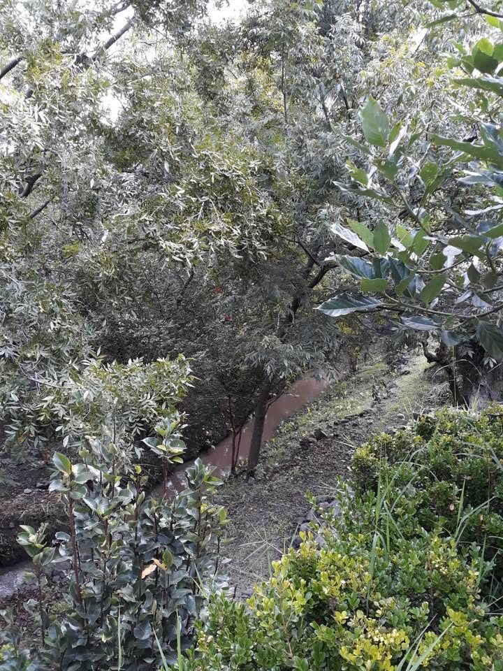 Monoambiente 0 baños - Casa 2